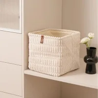 Caja Organizadora