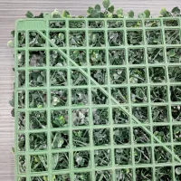 Planta Artificial Rectángulo